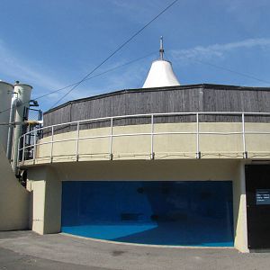 New York Aquarium 2010 - Left front of former Beluga exhibit