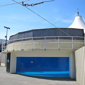 New York Aquarium 2010 - Right front of former Beluga exhibit