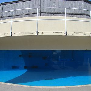 New York Aquarium 2010 - Viewing window into former Beluga exhibit