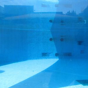 New York Aquarium 2010 - Inside former Beluga exhibit
