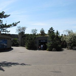 New York Aquarium 2010 - Part of Sharks building and Sea Cliffs
