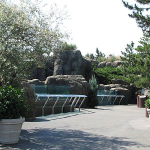 New York Aquarium 2010 - Front of Sea Cliffs exhibits