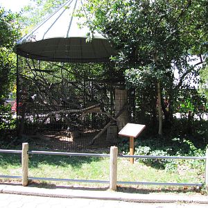 Staten Island Zoo 2010 - Ring-tailed Lemur cage