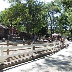 Staten Island Zoo 2010 - General view in Zoo Farm