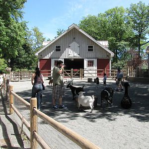 Staten Island Zoo 2010 - General view in Zoo Farm