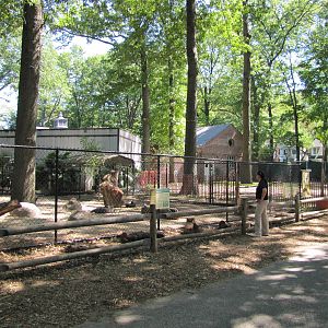 Staten Island Zoo 2010 - Mixed Australia exhibit