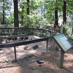 Staten Island Zoo 2010 - Prairie Dog exhibit