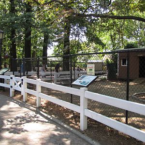 Staten Island Zoo 2010 - Front of Emu enclosure