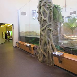 Staten Island Zoo 2010 - Alligator Wing and view into Snake Wing