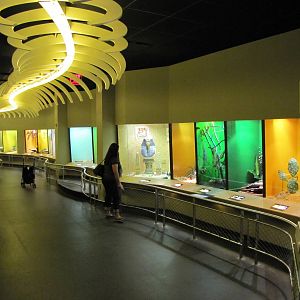 Staten Island Zoo 2010 - Snake Wing in Kauffeld Hall of Reptiles