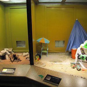 Staten Island Zoo 2010 - Aruba Rattlesnake and Mojave Rattlesnake exhibits