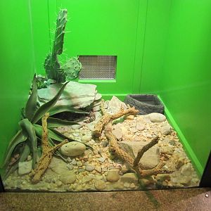 Staten Island Zoo 2010 - Gila Monster exhibit