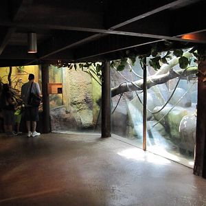 Staten Island Zoo 2010 - General view inside Tropical Forest building