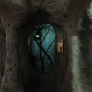 Staten Island Zoo 2010 - Small Eared Galago exhibit in African Savanna buil