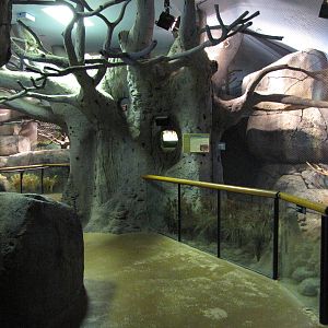 Staten Island Zoo 2010 - General view inside African Savanna building