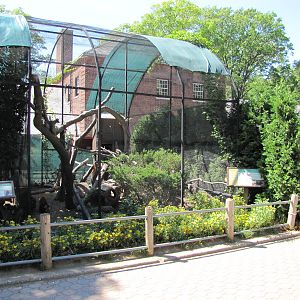 Staten Island Zoo 2010 - Red Panda enclosure
