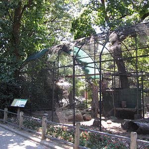 Staten Island Zoo 2010 - Red Fox enclosure