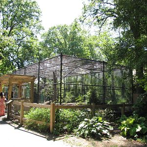Staten Island Zoo 2010 - Bobcat enclosure