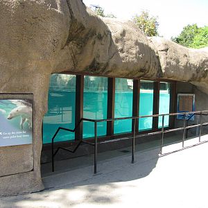 Philadelphia Zoo 2010 - Polar Bear viewing window on lower level
