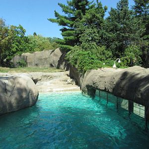 Philadelphia Zoo 2010 - Part of very nice Polar Bear exhibit