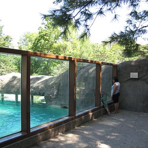 Philadelphia Zoo 2010 - Polar Bear viewing window on upper level