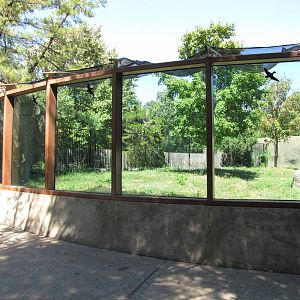 Philadelphia Zoo 2010 - Polar Bear viewing window on grass side