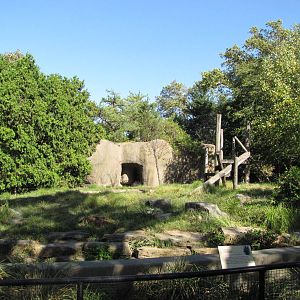 Philadelphia Zoo 2010 - Part of Sloth Bear exhibit