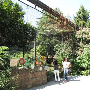 Philadelphia Zoo 2010 - Front of Bald Eagle enclosure