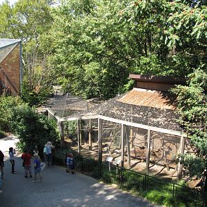 Philadelphia Zoo 2010 - Looking down on the Scarlet Ibis enclosure