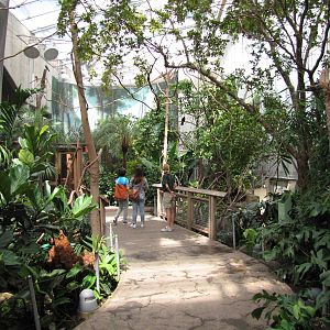 Philadelphia Zoo 2010 - General view inside McNeil Avian Center