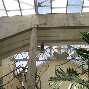 Philadelphia Zoo 2010 - General view inside McNeil Avian Center