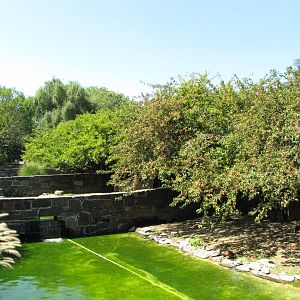 Philadelphia Zoo 2010 - Bird Valley exhibit row