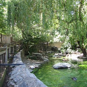 Philadelphia Zoo 2010 - Alongside second Humboldt Penguin exhibit