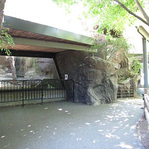 Philadelphia Zoo 2010 - Front of Canadian Lynx exhibit in Carnivore Kingdom