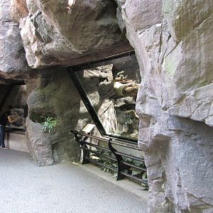 Philadelphia Zoo 2010 - Front of Fishing Cat and Dwarf Caiman exhibits in C