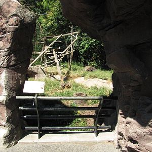 Philadelphia Zoo 2010 - Front of White-nosed Coati exhibit in Carnivore Kin