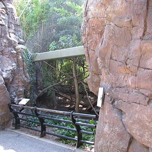 Philadelphia Zoo 2010 - Front of Hyacinth Macaw exhibit in Carnivore Kingdo