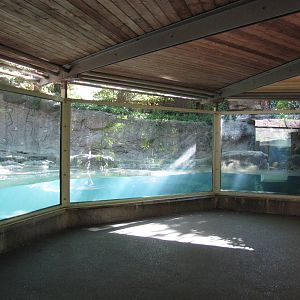 Philadelphia Zoo 2010 - Front of Giant Otter exhibit in Carnivore Kingdom