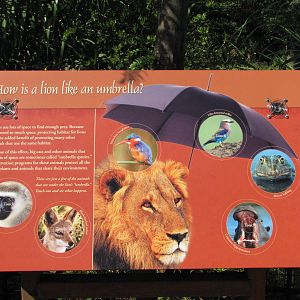 Philadelphia Zoo 2010 - Signage example in Big Cat Falls