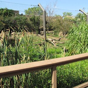 Philadelphia Zoo 2010 - Side of the African Lion exhibit