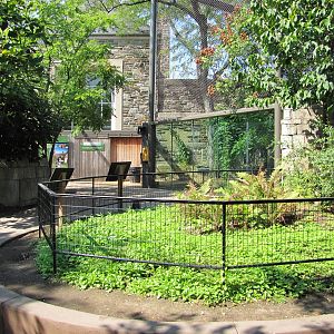 Philadelphia Zoo 2010 - General view in Big Cat Falls