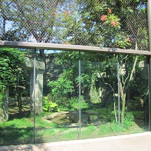 Philadelphia Zoo 2010 - Jaguar exhibit in Big Cat Falls