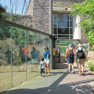 Philadelphia Zoo 2010 - General view in Big Cat Falls