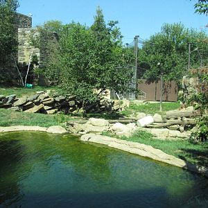 Philadelphia Zoo 2010 - Second part of Amur Tiger exhibit in Big Cat Falls
