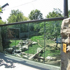 Philadelphia Zoo 2010 - Viewing window into the Amur Tiger exhibit