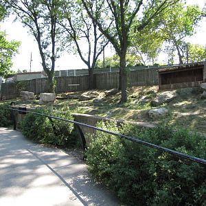 Philadelphia Zoo 2010 - Most of Cheetah exhibit