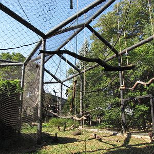 Philadelphia Zoo 2010 - Enclosure for White-bellied and Columbian Black Spi