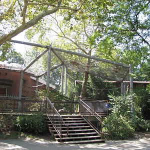Philadelphia Zoo 2010 - First part of Black and White Colobus enclosure