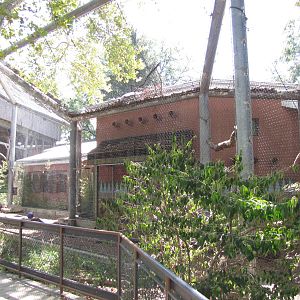 Philadelphia Zoo 2010 - Second part of Black and White Colobus enclosure