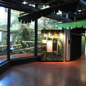 Philadelphia Zoo 2010 - Inside the PECO Primate Reserve